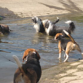 samen spelen