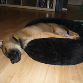 ZzzzzzZZz....