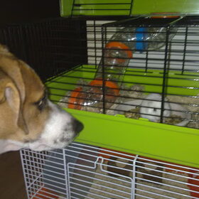 deejay met zijn hobby