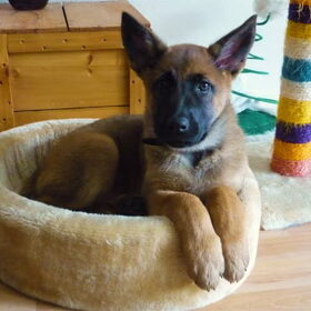 Strike a pose...