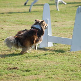 gaby flying