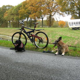 lekker met baas fietsen