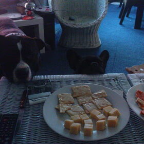Mmm... toastjes....