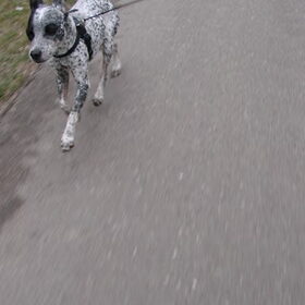 rennen naast de fiets