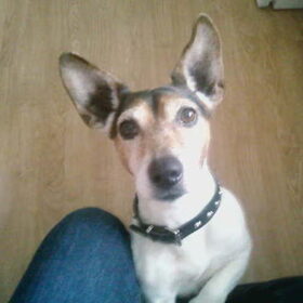 Robbie