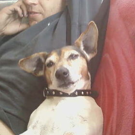 onze robbie