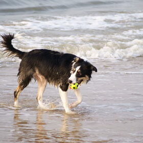 Luka met bal op strand