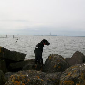 Uitkijken over het IJsselmeer