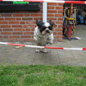 Geen titel