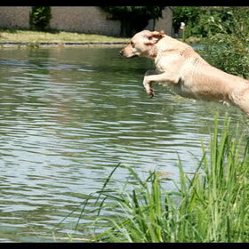 jump