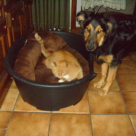 max en onze pooh