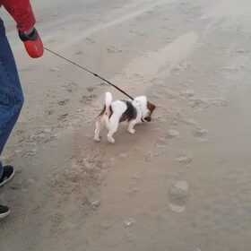 qoucha op het strand