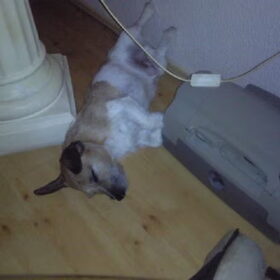 niet storen