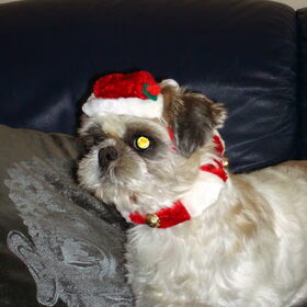 Onze oudste kerstman