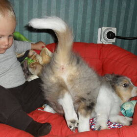 Diesel en demy sporen niet !