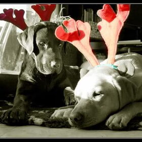 kerst...