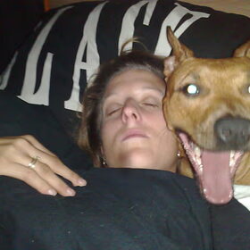 Ik ziek op bed = hond waakt uhhh gaapt
