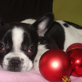 Kerst...