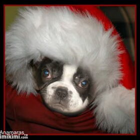 Kerst...