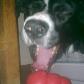 liefff (L)