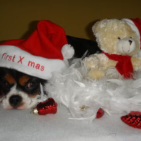 Scylla's eerste Kerstmis.