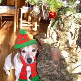 Kerst Spikey