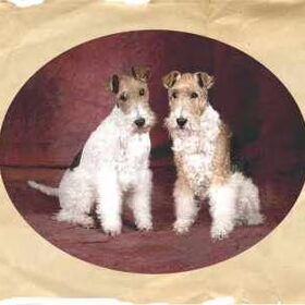 Moeder Timmie en Dochter Daisy .