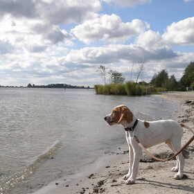 dus dit is nou het strand?!