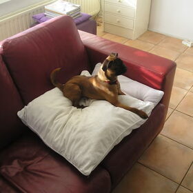 Onze Fred