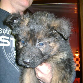 Dit is onze nieuwe aanwinst!! SULTAN!!!! I LOVE YOU!!
