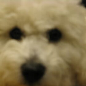 Close up
