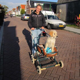 in de kinderwagen