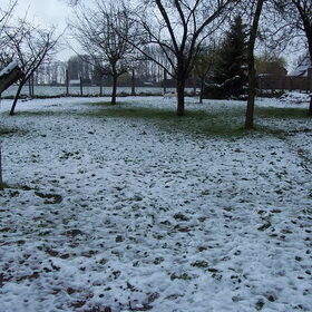 Onze tuin