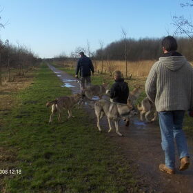 wandeling zoetemeer (1)