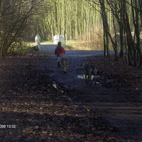 wandeling zoetemeer (3)