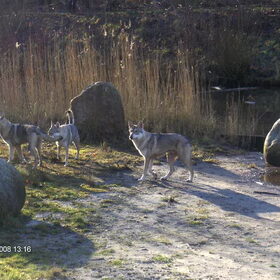 wandeling zoetemeer (9)