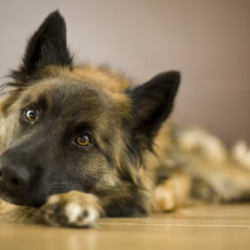 Ga je mee Op stap met kayra? Kijk gerust eens rond op onze mooie…