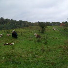 kooiker wandeling chaam