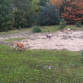 kooiker wandeling chaam