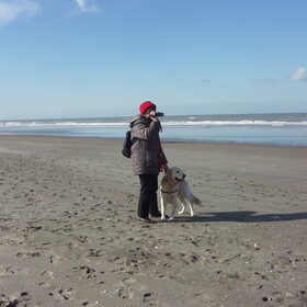 Wat zie ik ginder .....