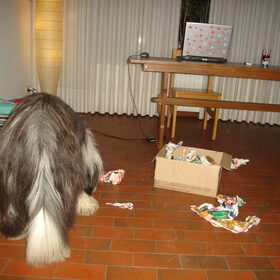 Wat een feest!
