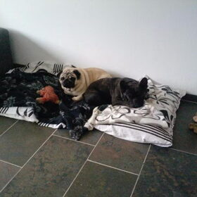 Samen chillen!