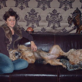 Hondenfoto van liesbeth,Turbo,Luna, Levi en Faith