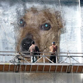 The Wall of Rocky