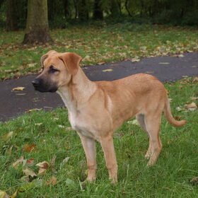 lekker wandelen in het park