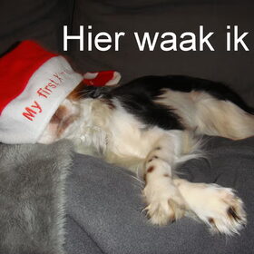 Schrikt echt af he!