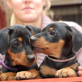 Anna en Anouk