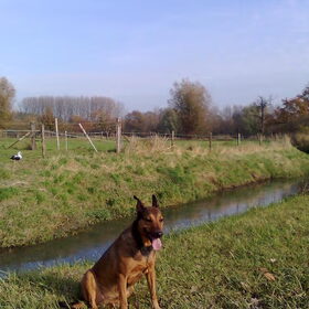 Kylie : Dat was lekker rennen.