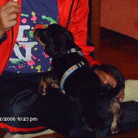 Hondenfoto van Jasmine en Chica