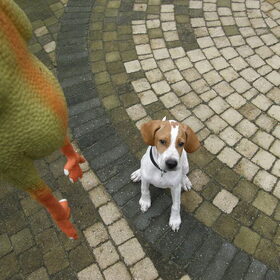 pppffff nou hou die kip maar